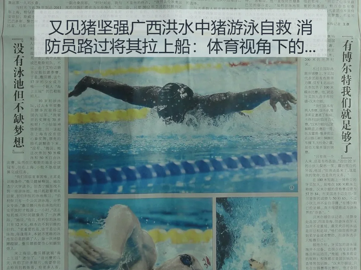 又见猪坚强广西洪水中猪游泳自救 消防员路过将其拉上船：体育：生命韧性观察